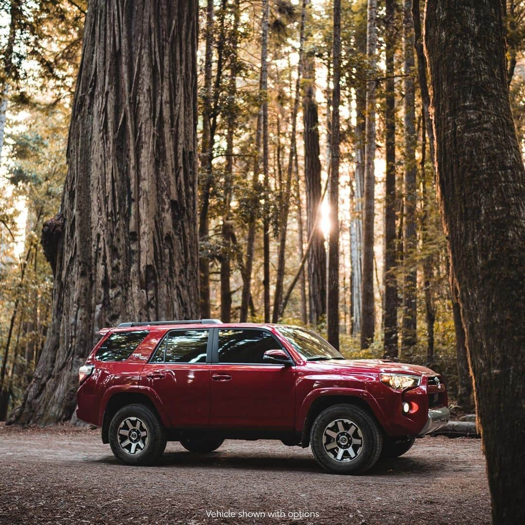 toyotausaさんのインスタグラム写真 - (toyotausaInstagram)「Standing tall amongst fellow icons. 🌲 #4Runner #TRD Off-Road #LetsGoPlaces」1月17日 3時35分 - toyotausa