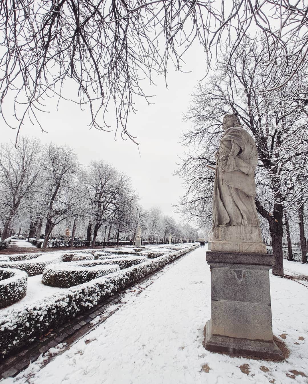 Guido Gutiérrez Ruizのインスタグラム：「Kingdom of ❄️ or 🍂? • ¿Reino de ❄️o 🍂?」