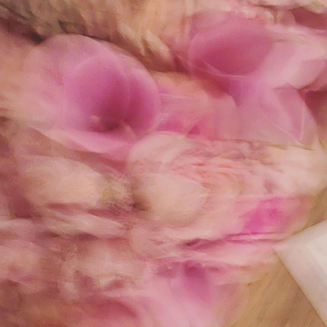 風間ゆみえのインスタグラム