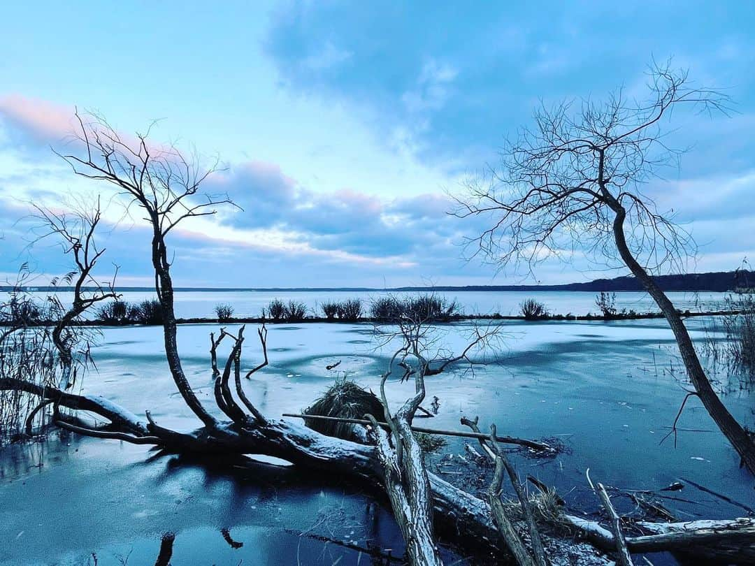 ステファノ・カルーゾさんのインスタグラム写真 - (ステファノ・カルーゾInstagram)「Sit, relax, inhale, think. In the meantime, welcome 2021. ❄️ #berlin #colors #winter #wanderlust #welcome2021 #iphone12pro #ciaobelli」1月17日 5時49分 - stef_caruso