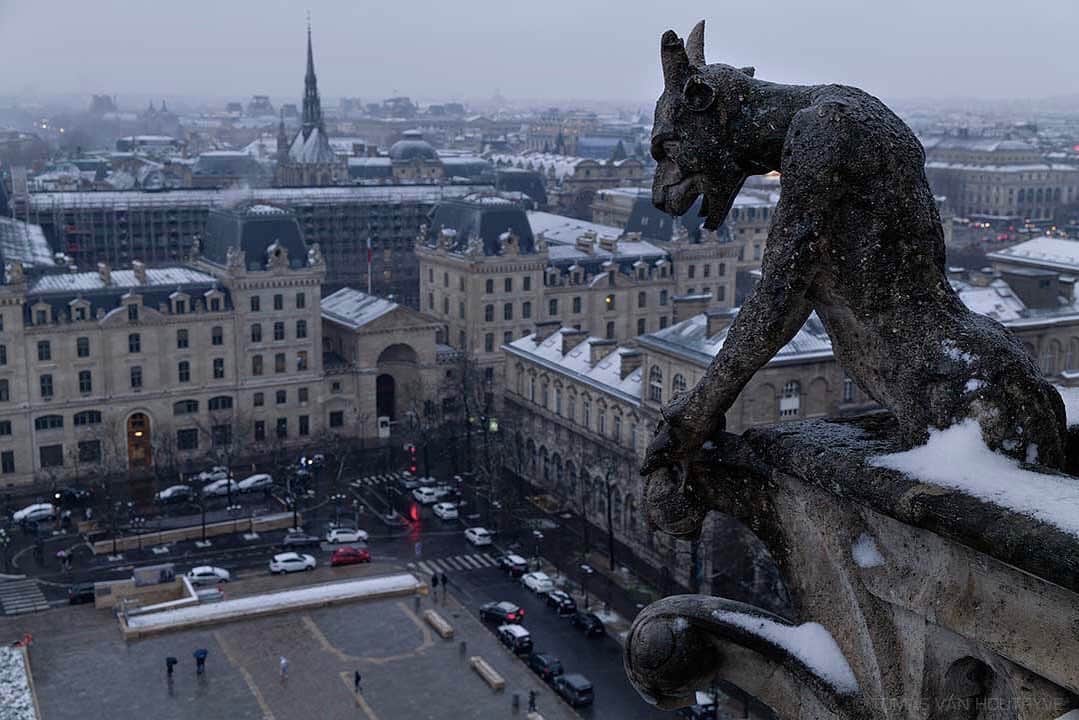 National Geographic Creativeのインスタグラム：「Photo by Tomas van Houtryve @tomasvh / A chimera seems to stare down on freshly fallen snow in Paris today from the Notre-Dame cathedral. The gallery of Chimeras was added to the cathedral in the mid-19th century by architect Eugène Violet-le-Duc.   . . .  Follow @tomasvh and the public institution in charge of reconstruction, @rebatirnotredamedeparis for more on Notre-Dame.   . . . #notredame #paris #notredamedeparis #snowyparis #chimere」