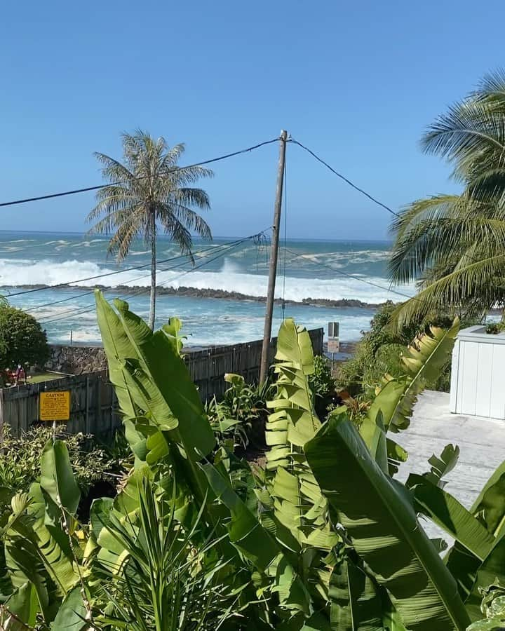 ミシェル・ボレーズのインスタグラム：「I can’t believe how big the waves are ! Someone is gonna get the wave of the century today in Hawaii ! Go big guys , then go home safely ! 🙏🏼🙏🏼🙏🏼 I’m not the best at saying how big it is but it looks like 25 feet + waves  I’m not surfing today ! No boards , no life jacket , not ready mentally to paddle out and test myself ...today I’m a reporter 😁」