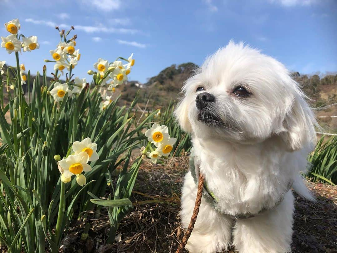 小野真弓のインスタグラム