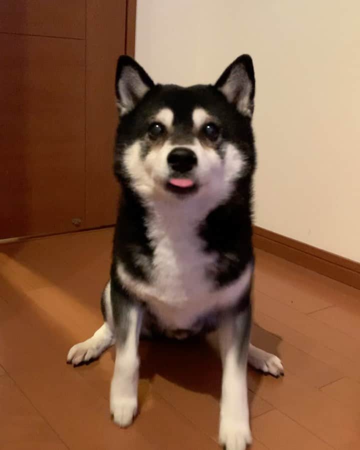 くろのインスタグラム