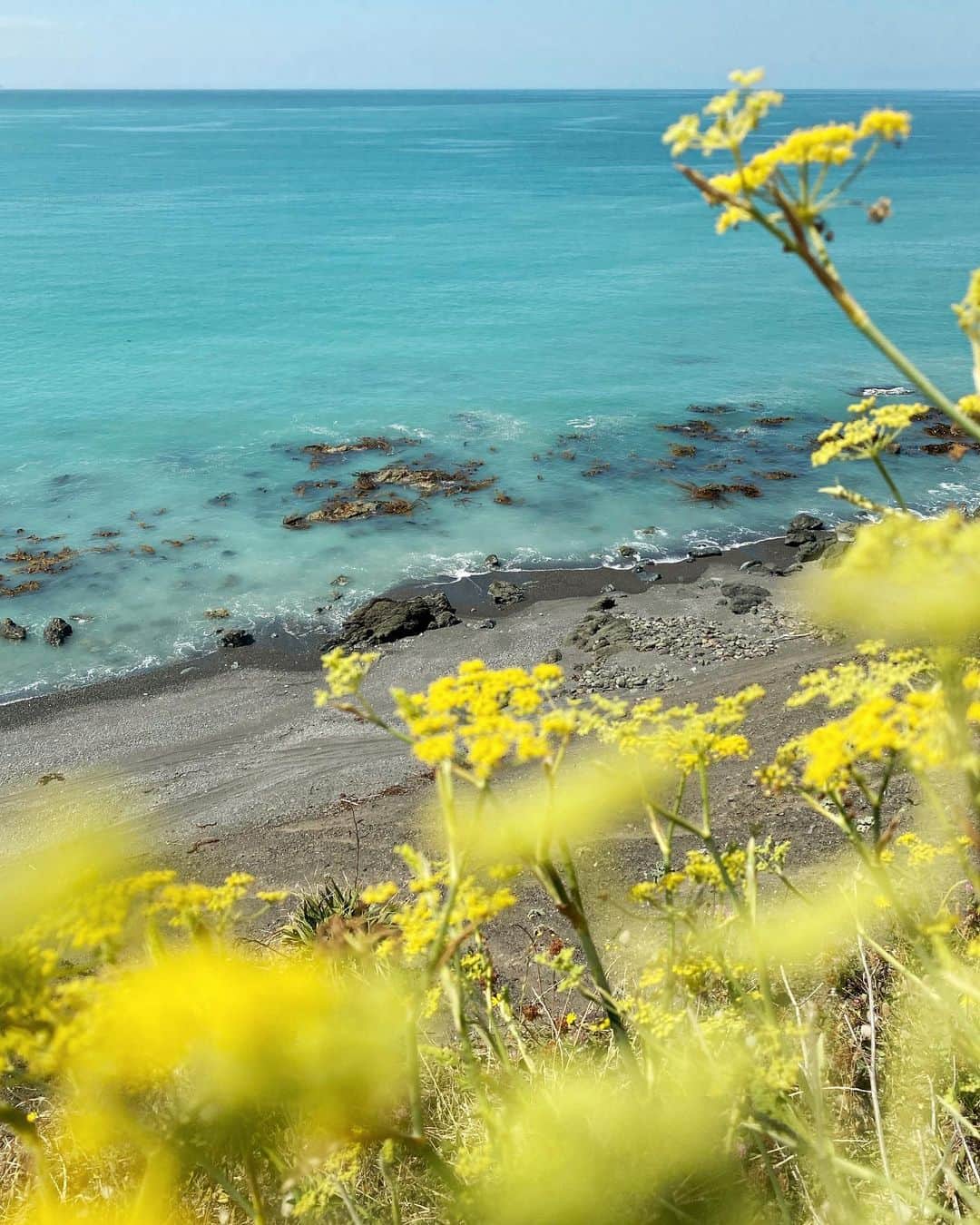 ギャランス・ドレのインスタグラム：「The mind blowing beauty of New Zealand. What strikes me the most are the incredible colors. Sometimes they feel like they are from another world. . We’ve just came back from a three day cycle trip, which I had always wanted to do... It turned out to be even more fun that I had imagined. And more exhausting!」