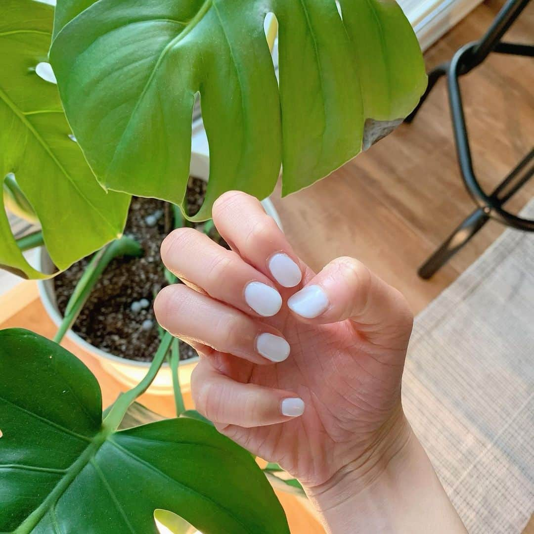 近藤美月さんのインスタグラム写真 - (近藤美月Instagram)「﻿ ﻿ ﻿ New nail 💅🤍﻿ ﻿ 料理をすることが多いから﻿ みっじかい爪にしてしまった☺︎💭﻿ ﻿ ほんと、去年の今頃は﻿ 料理が大好きになるなんて﻿ 思ってもなかったなあ🍽﻿ ﻿ 人生何が起こるか分からない﻿ ってこのこと🌙﻿ ﻿ ﻿ ﻿ ﻿ ﻿」1月17日 18時01分 - miittsuk