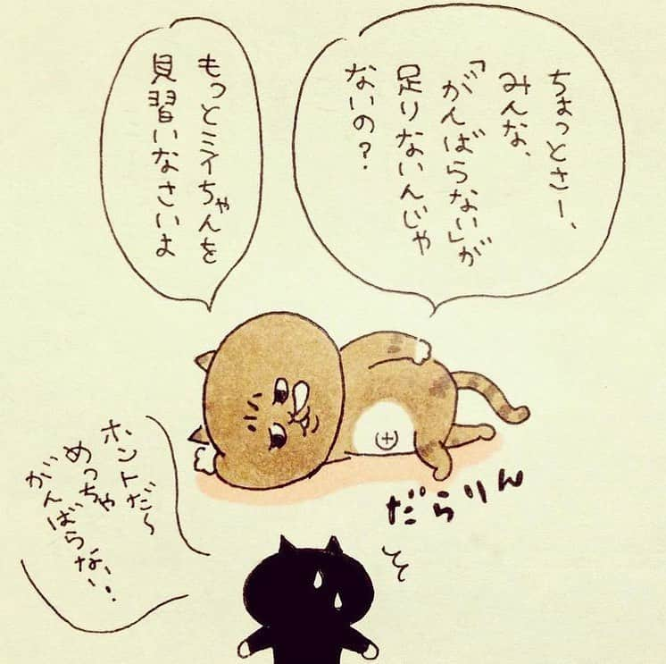 eskさんのインスタグラム写真 - (eskInstagram)「: : 過去絵まつり 最終回！  ミィちゃんの部屋総集編。  「ミィちゃんは今日も頑張らない」の元ネタたちです。 もともと1コマだったから4コマにするの大変だったなぁ（遠い目）  #イラスト#イラストレーター#らくがき#おえかき#マンガ#ネコ#猫#ねこ#ミィちゃん#ミィちゃんの部屋#ミィちゃんは今日もがんばらない#lineスタンプ#ミィちゃんのがんばらないスタンプ   📕ミィちゃんは今日もがんばらない 亜紀書房より好評発売中です^ ^」1月17日 17時10分 - esk_illust