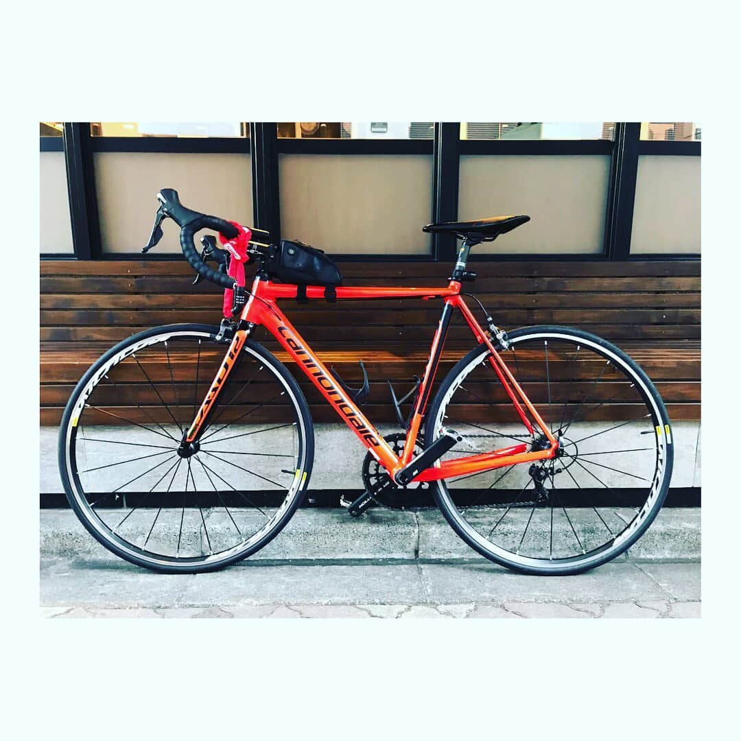 のインスタグラム：「【Next stage編】﻿ 相棒。﻿ ﻿ 自宅からオフィスまでの通勤は、運動も兼ねて自転車通勤。﻿ 比較的平坦な道のりを寒さと闘いながら、片道15分程かけて東京の街を堪能してます。﻿ ﻿ まさかロードバイクで通勤するとは現役時代に想像すら出来ませんでしたが、運動不足気味の体にはちょうど良い刺激。﻿ ﻿ 問題は夏...﻿ ﻿ 汗かきなんで、オフィスに着く頃には...﻿ ﻿ #通勤﻿ #ロードバイク﻿ #キャノンデイル﻿ #自転車﻿ #roadbike﻿ #cannondale﻿ ﻿」