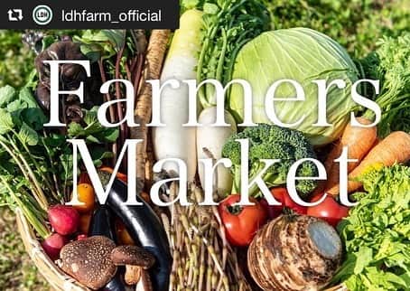 LDH kitchenのインスタグラム