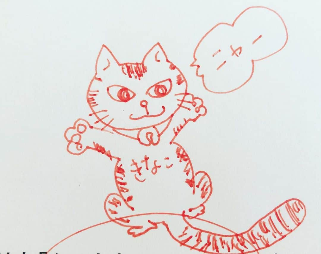 石原詢子さんのインスタグラム写真 - (石原詢子Instagram)「詢子画伯作 わが家の猫ちゃん「きなこ」 リモート収録中に落書き・・  #落書き #画伯 #猫ちゃん #愛猫 #愛猫家 #リモート収録 #落書き大好き #赤いペン #石原詢子 #今日も良き日となりますように」1月17日 8時56分 - junko_ishihara.official