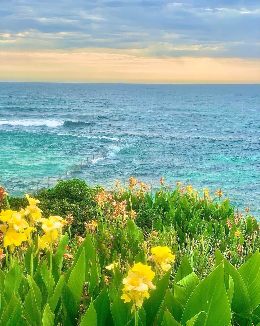 シャーニ・ヴィンソンのインスタグラム：「🌼🌱🌊🌥」
