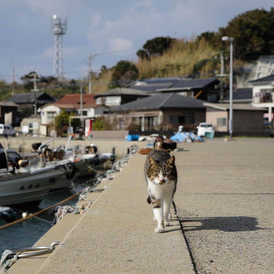 ををつかのインスタグラム