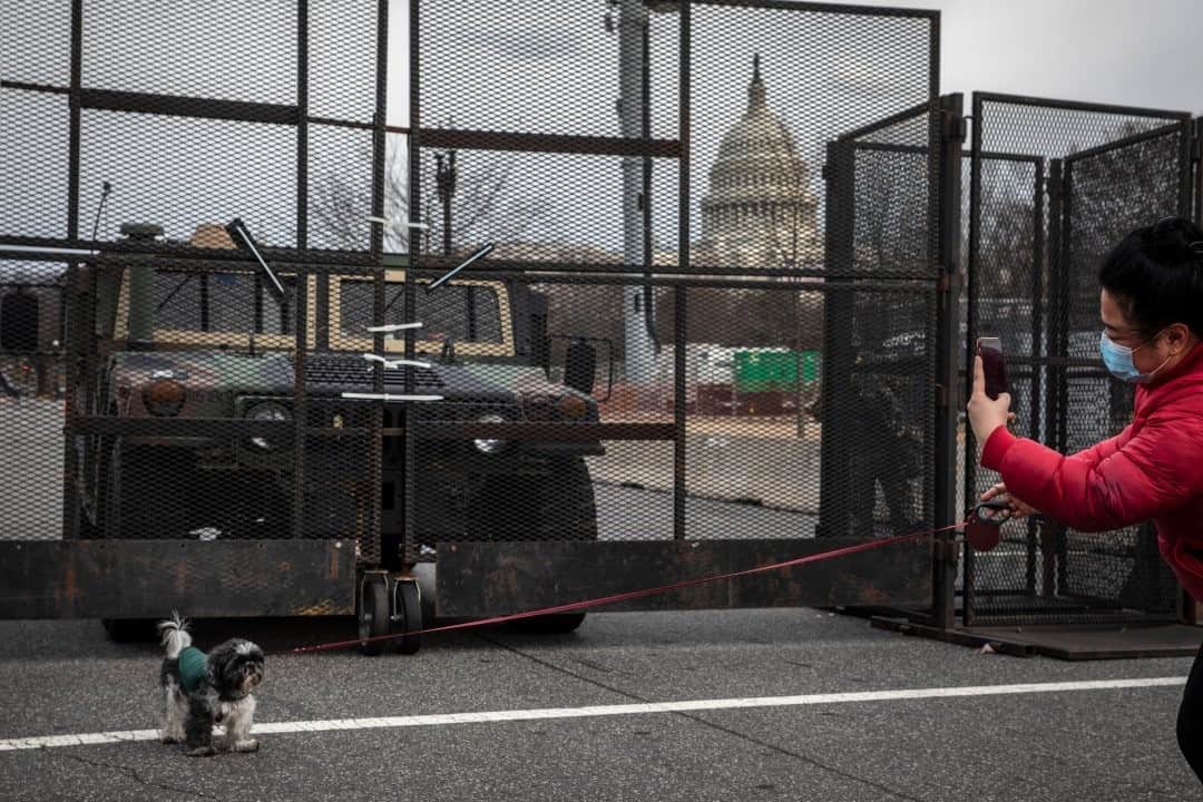 のインスタグラム：「Photo by David Guttenfelder @dguttenfelder / Young Choi takes a photo of her dog Winston in front of the security fence and National Guard vehicles guarding the U.S. Capitol Building in Washington, D.C. Choi lives in D.C. and routinely walks her dog or bikes the same area. "The sad thing is that we don't know when or if it will ever be normal again," she said.」