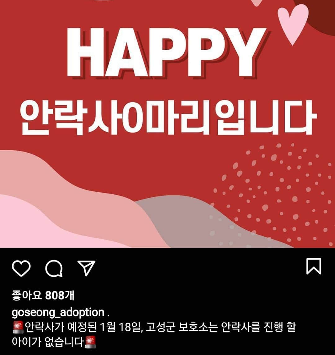 のインスタグラム：「## 일요일 아침부터 너무 기쁜소식입니다.  며칠 전 21마리의 강아지가 안락사 위기 에 처해있다고 올린 피드 보시고 많은분들이 관심 가져 주시고 공유해 주신 덕분에 이렇게 기적이 일어났습니다.  감사합니다. 우리 팔로워 분들 진짜 고마워요..잘할께요..   하나의 작은 힘이 모여 기적을 만들다.  ' 저 아이 하나 구한다고 해서 세상이 바뀌진 않는다. 하지만 저 아이에겐 세상이 바뀔것이다.'」
