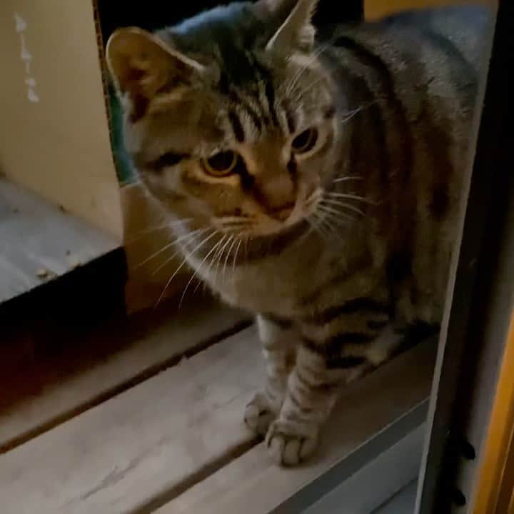 ゆたこのインスタグラム