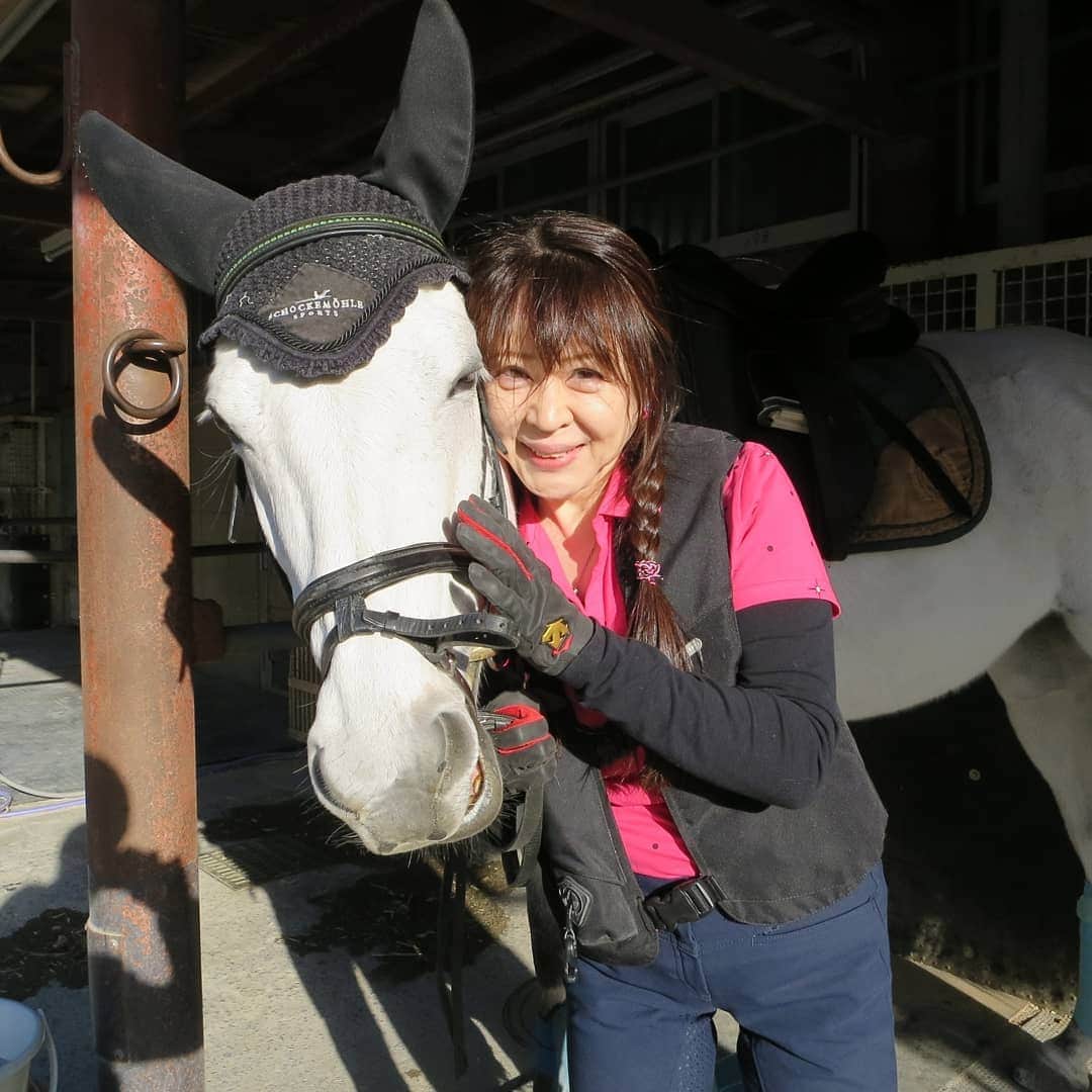 宇月田麻裕さんのインスタグラム写真 - (宇月田麻裕Instagram)「1/7乗馬日記「初乗り、はく、いい子」珀  乗馬日記いきまーす。 初乗りは、3度目の配馬の珀。 乗るたびに波長が合っていく感じ。  先週、動画載せています。  今日の相棒は、珀、可愛い顔してる  可愛い顔していますねー。 性格も、素直で可愛いです。 一生懸命に働いてくれます。 ということで、レッスンは、「ハク」＆Ｔ先生。 この日は、台風のような風の日。 馬場は、砂が舞い、大荒れです。  先生が下乗りをしてくださっている最中に、突風が吹いて、珀、パイロンとポールが倒れてびっくり。 倒れた物を見て、それを嫌がる様子。 いやいや、本当に台風のように大荒れ。 乗るのをやめようと思って、先生にお聞きしたくらい。 ちなみに、私の騎乗以降は、休馬になりました。 先生「今日は、無理しないでやりましょう」 ということで、速歩、軽速歩。 珀、本当に、素直でいい子。 指示したことをしっかりとやってくれます。 手前をかえる時に、正反動のようになってしまっても、 ちゃんとやってくれて、本当にいい子です。 先生「手、足、まっすぐー」 「体が傾いています」 内側に傾くので、馬が内側に入りやすい。 途中、珀が不穏な動き。 うわっと、一瞬思ったところで、珀、平然。 遠方にある、パイロンとポールが、暴風により、まるごと倒れていたのです。 「ハク、いいこだったね、堪えたね」 ほんと良い子です。 ラスト、無理せず駈歩。 少しだけできました。 私の発進の指示、けっこう適当とのことで、しっかり壁を作り、体型を整えてから、人馬ともに準備ができたところで、発進の合図。 これが大事。 「ハク、駈歩いくよー」 珀「はーい」 前に駈歩発進した時には、もっと上に弾んで、一気に駆けていってしまいそうな感じでしたが、 先生がし下乗りをしてくださったおかげで、一歩目からすんなりとスムーズな発進になり、 スピードもスローな駈歩。 やはり、下乗りしていただくと違う、というのを感じました。 下乗り嬉しい❤ 先生「馬に助けられましたね」「良い初乗りになりましたね」 ということで、良い初乗りになり、珀と先生に感謝です💖 また珀が配馬されると嬉しい❤   じつは、乗っている最中から、砂嵐のせいで、口の中が砂だらけ。 じゃりじゃりしていました💦  珀、カメラ目線してくれます。 そして奥にいる「すばる」(ステイゴールド産駒) 「なにしているのかなー。写真撮っているのかなー」とカメラ目線しています。可愛い❤   本当は、1/14騎乗予定で、予約入れていたのですが、股関節、足腰を痛めてしまい、キャンセル💦  ******************  母　レインボーハート  レインボーハート  競走馬データ - netkeiba.comレインボーハートの競走馬データです。競走成績、血統情報、産駒情報などをはじめ、50万頭以上の競走馬、騎手・調教師・馬主・生産者の全データがご覧いただけます。￼db.netkeiba.com￼     父　スウェプトオーヴァーボード  お父さん外産馬のあし毛。  スウェプトオーヴァーボード  競走馬データ - netkeiba.comスウェプトオーヴァーボードの競走馬データです。競走成績、血統情報、産駒情報などをはじめ、50万頭以上の競走馬、騎手・調教師・馬主・生産者の全データがご覧いただけます。￼db.netkeiba.com￼  珀　イエローマジック  2016年新馬戦で1着取っているのですよー。  イエローマジック  競走馬データ - netkeiba.comイエローマジックの競走馬データです。競走成績、血統情報、産駒情報などをはじめ、50万頭以上の競走馬、騎手・調教師・馬主・生産者の全データがご覧いただけます。￼db.netkeiba.com￼  乗馬日記、次回に続く。」1月17日 10時38分 - mahiro_utsukita