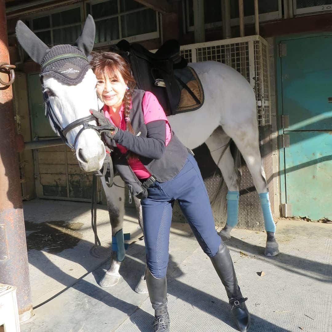 宇月田麻裕さんのインスタグラム写真 - (宇月田麻裕Instagram)「1/7乗馬日記「初乗り、はく、いい子」珀  乗馬日記いきまーす。 初乗りは、3度目の配馬の珀。 乗るたびに波長が合っていく感じ。  先週、動画載せています。  今日の相棒は、珀、可愛い顔してる  可愛い顔していますねー。 性格も、素直で可愛いです。 一生懸命に働いてくれます。 ということで、レッスンは、「ハク」＆Ｔ先生。 この日は、台風のような風の日。 馬場は、砂が舞い、大荒れです。  先生が下乗りをしてくださっている最中に、突風が吹いて、珀、パイロンとポールが倒れてびっくり。 倒れた物を見て、それを嫌がる様子。 いやいや、本当に台風のように大荒れ。 乗るのをやめようと思って、先生にお聞きしたくらい。 ちなみに、私の騎乗以降は、休馬になりました。 先生「今日は、無理しないでやりましょう」 ということで、速歩、軽速歩。 珀、本当に、素直でいい子。 指示したことをしっかりとやってくれます。 手前をかえる時に、正反動のようになってしまっても、 ちゃんとやってくれて、本当にいい子です。 先生「手、足、まっすぐー」 「体が傾いています」 内側に傾くので、馬が内側に入りやすい。 途中、珀が不穏な動き。 うわっと、一瞬思ったところで、珀、平然。 遠方にある、パイロンとポールが、暴風により、まるごと倒れていたのです。 「ハク、いいこだったね、堪えたね」 ほんと良い子です。 ラスト、無理せず駈歩。 少しだけできました。 私の発進の指示、けっこう適当とのことで、しっかり壁を作り、体型を整えてから、人馬ともに準備ができたところで、発進の合図。 これが大事。 「ハク、駈歩いくよー」 珀「はーい」 前に駈歩発進した時には、もっと上に弾んで、一気に駆けていってしまいそうな感じでしたが、 先生がし下乗りをしてくださったおかげで、一歩目からすんなりとスムーズな発進になり、 スピードもスローな駈歩。 やはり、下乗りしていただくと違う、というのを感じました。 下乗り嬉しい❤ 先生「馬に助けられましたね」「良い初乗りになりましたね」 ということで、良い初乗りになり、珀と先生に感謝です💖 また珀が配馬されると嬉しい❤   じつは、乗っている最中から、砂嵐のせいで、口の中が砂だらけ。 じゃりじゃりしていました💦  珀、カメラ目線してくれます。 そして奥にいる「すばる」(ステイゴールド産駒) 「なにしているのかなー。写真撮っているのかなー」とカメラ目線しています。可愛い❤   本当は、1/14騎乗予定で、予約入れていたのですが、股関節、足腰を痛めてしまい、キャンセル💦  ******************  母　レインボーハート  レインボーハート  競走馬データ - netkeiba.comレインボーハートの競走馬データです。競走成績、血統情報、産駒情報などをはじめ、50万頭以上の競走馬、騎手・調教師・馬主・生産者の全データがご覧いただけます。￼db.netkeiba.com￼     父　スウェプトオーヴァーボード  お父さん外産馬のあし毛。  スウェプトオーヴァーボード  競走馬データ - netkeiba.comスウェプトオーヴァーボードの競走馬データです。競走成績、血統情報、産駒情報などをはじめ、50万頭以上の競走馬、騎手・調教師・馬主・生産者の全データがご覧いただけます。￼db.netkeiba.com￼  珀　イエローマジック  2016年新馬戦で1着取っているのですよー。  イエローマジック  競走馬データ - netkeiba.comイエローマジックの競走馬データです。競走成績、血統情報、産駒情報などをはじめ、50万頭以上の競走馬、騎手・調教師・馬主・生産者の全データがご覧いただけます。￼db.netkeiba.com￼  乗馬日記、次回に続く。」1月17日 10時38分 - mahiro_utsukita