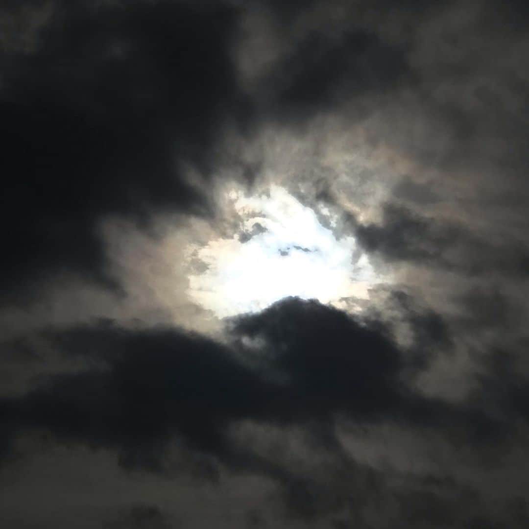 土屋眞弓のインスタグラム：「さっきの空 よそ様のお庭の桃の木  お散歩してます 空凄い素敵〜❣️ 幻想的💨✨✨ 3枚目の写真は よそ様のお庭の桃の木 花がたくさん咲いてます🌸 色々気づくわ🥰💕💕💕  #お散歩 #空 #雲 #桃の花」