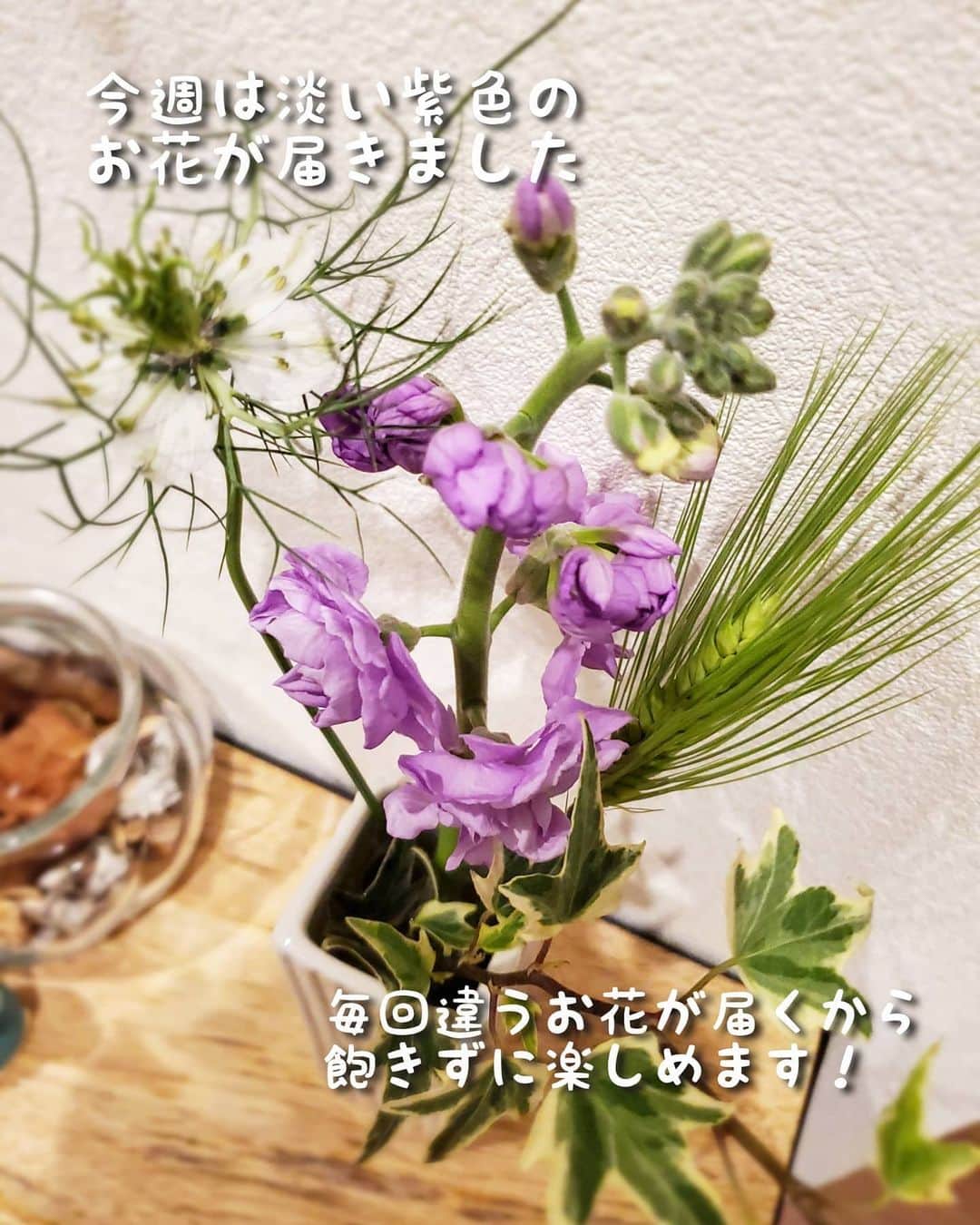 koyukkuma 一条工務店さんのインスタグラム写真 - (koyukkuma 一条工務店Instagram)「• 今週もかわいいお花が届きました💐 • ポストを開けたらお花が届いてる！ このワクワクは何ヶ月経っても変わらず、開ける瞬間が毎回楽しみです❤ • こんな時代なので、わざわざ外へ出てお花を買いに行きたくないな～とか、仕事忙しくてお花屋さんに寄る余裕なんてないって方も、お花屋さんに行く時間あってもお花の選び方が分からない……… • どんな方にも本当にオススメの @bloomeelife のお花の定期便📪 • 丈夫な箱に梱包されてるので、大切なお花が潰れる心配ありません！ • ネットショッピングが多くメール便もよく届くし、母屋と共同のポストなので中で色んな郵便物に揉まれてるけど、お花が潰れてたことはありません👌 • お花の名前カードも付いてるし、活力剤も入れてくれてるので、お花を枯らしちゃう心配もないし初心者さんでも長く楽しめます🎵 • 初回のお花お届けが無料になるクーポンがあるので、使ってくださいね🤲 • ■クーポンコード：kuma ■有効期限：2021年1月31日 • #bloomeelife #ブルーミーライフ #花サブスク #PR」1月17日 11時07分 - kumasan_ismart