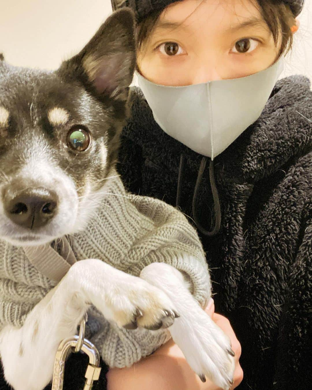 中上サツキさんのインスタグラム写真 - (中上サツキInstagram)「毎日一緒🐶」1月17日 11時47分 - satsukinakagami