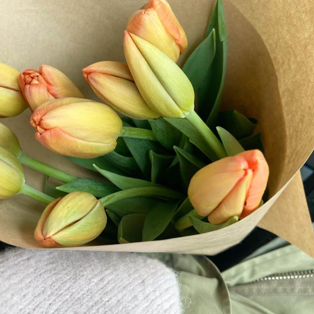 赤木 桃 #ちゃんものグルメインスタ