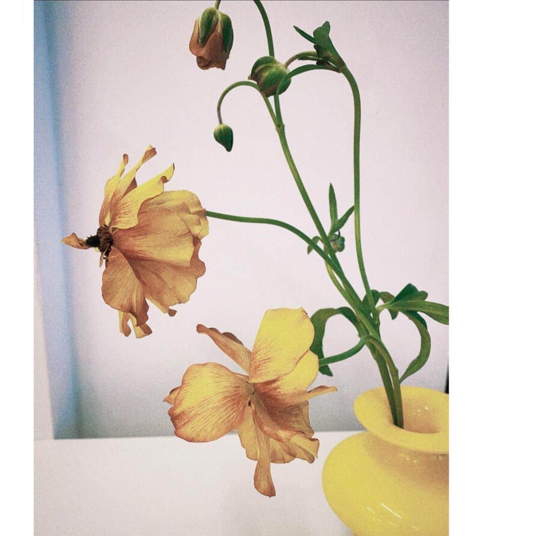 吉田怜香さんのインスタグラム写真 - (吉田怜香Instagram)「愛あるいちにちを。  🤍」1月17日 12時23分 - reikayoshida_