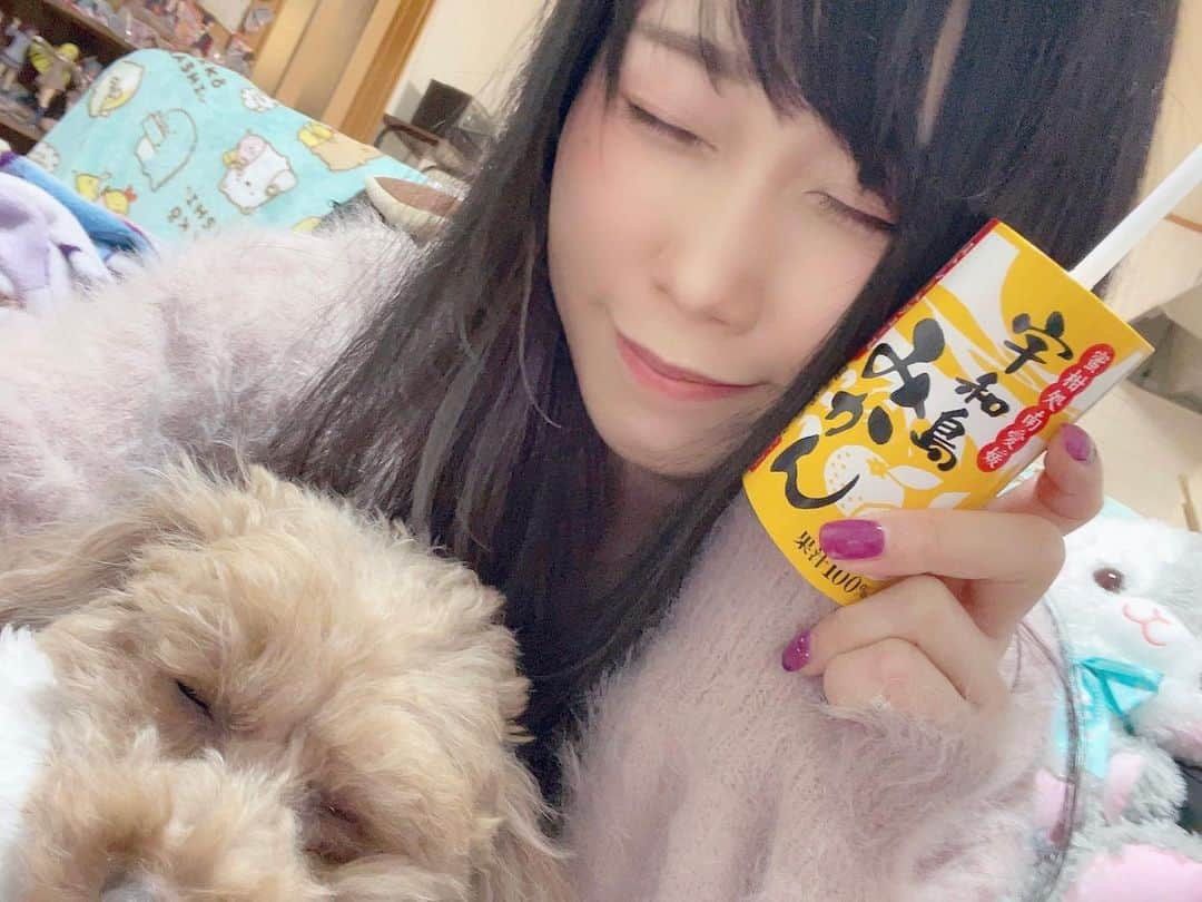 釘町みやびさんのインスタグラム写真 - (釘町みやびInstagram)「んーーーー♥ うまうまな顔になってしまう🍊 . . #愛工房  #愛媛みかん  #宇和島グルメ  #みかんジュース  #ポンカンジュース  #果汁100パーセント  #ストレートジュース  #pr  #みかん  #ジュース  #美味しい  #美味しいもの大好き  #フレッシュ  #甘党  #甘党女子  #柑橘  #柑橘系  #健康  #健康第一  #美意識  #美容  #美容好き」1月17日 18時07分 - miyajyaga382