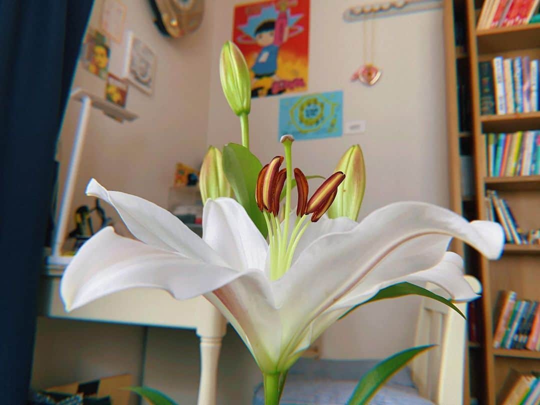 今川宇宙のインスタグラム