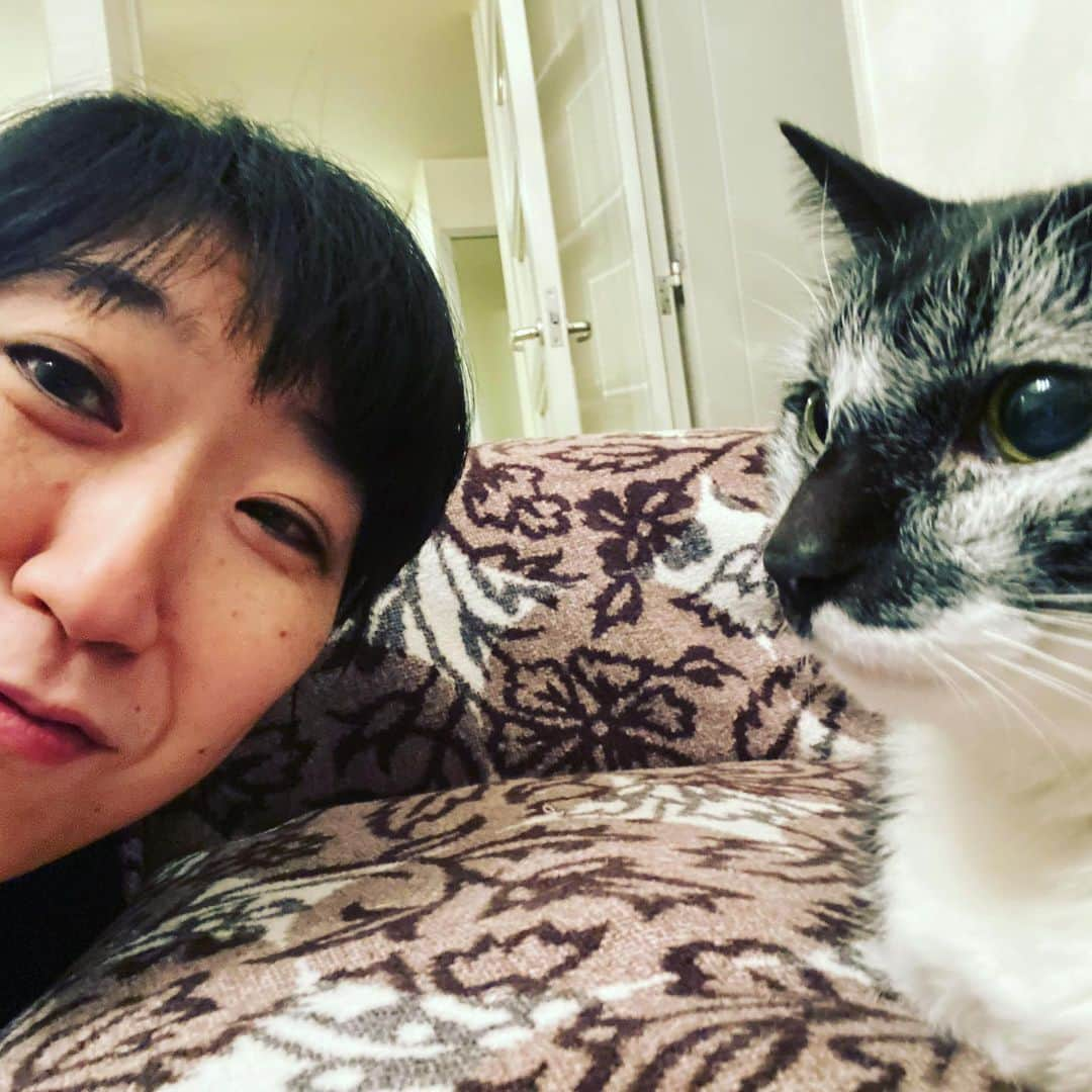 大宮エリーさんのインスタグラム写真 - (大宮エリーInstagram)「ち、、近い、、、 #猫」1月17日 13時44分 - ellie_omiya