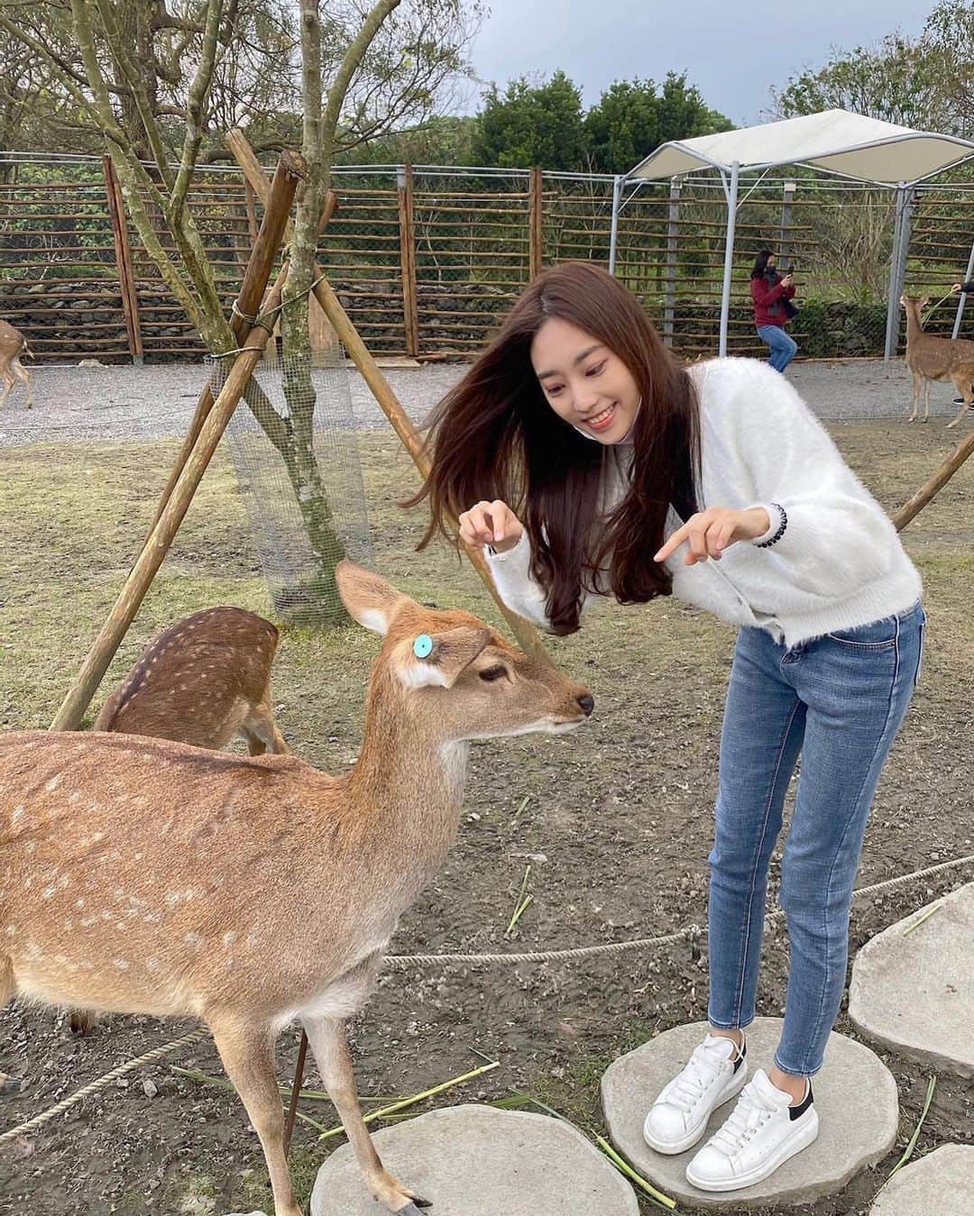 Jhiawen Chengさんのインスタグラム写真 - (Jhiawen ChengInstagram)「欸欸欸！不要不理我嘛！！🦌只有食物才理我！現實小鹿～～ 超怕牠咬我（是覺得自己有多好吃？）不管是拍照怕牠啃我的頭髮還是餵牠的時候怕牠啃到我的手🤣根本是繼上次被草泥馬吃頭髮之後的陰影😂😂😂 #yilan #bambiland #deer」1月17日 15時17分 - jhiawen.cheng