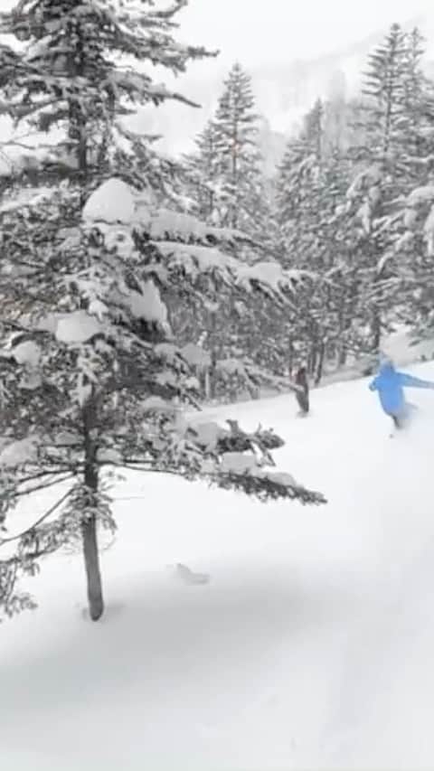 星野リゾート　トマムのインスタグラム：「【上級者限定解放エリア】 星野リゾート　トマム スキー場内のコース外を上級者限定で楽しめる取り組みを行っています。動画は1月13日のものですが、更に連日の降雪でコンディションは良好です🏂⛷❄️✨ご利用前には、リゾートセンターの冬山解放デスクへお立ち寄りください。」