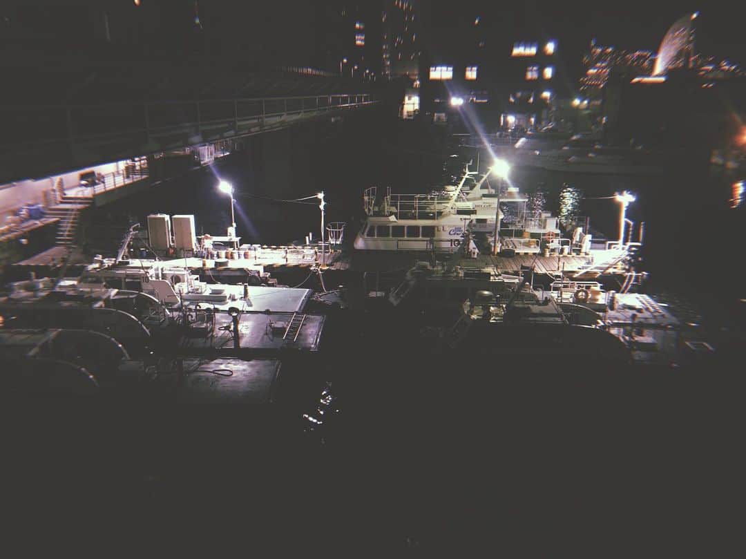 にゃんぞぬデシさんのインスタグラム写真 - (にゃんぞぬデシInstagram)「夜の船ワクワクする。」1月17日 15時20分 - nyanzonudeshi