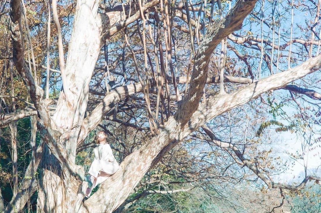 MIMORIのインスタグラム：「はじめての木登り✌️  #作品撮り #shooting #photography #tokyo #park #japan #japanese #japanesegirl #girl #model #winter #white #whitecode #naturalmakeup #mediumhair  #撮影#モデル#作品#ナチュラルメイク#ミディアムヘア#白#ホワイトコーデ」