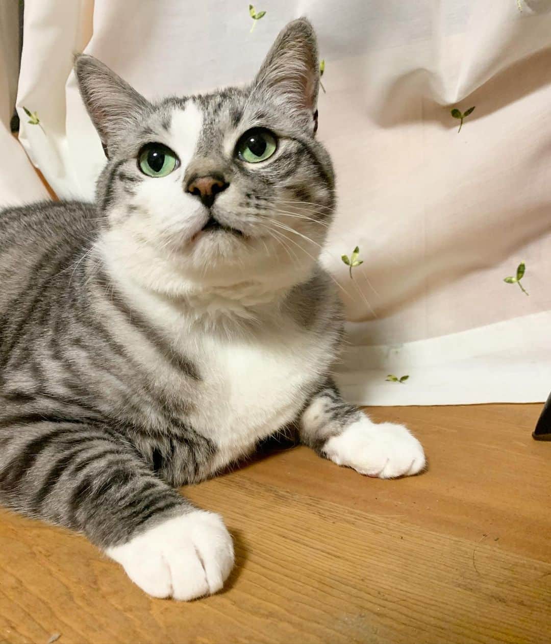 ?りっこ?のインスタグラム