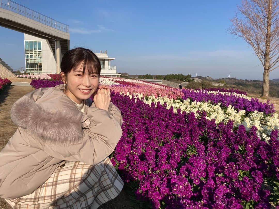 横山由依さんのインスタグラム写真 - (横山由依Instagram)「私の好きな紫色のお花💜  #淡路島 #あわじ花さじき」1月17日 16時17分 - yokoyamayui_1208