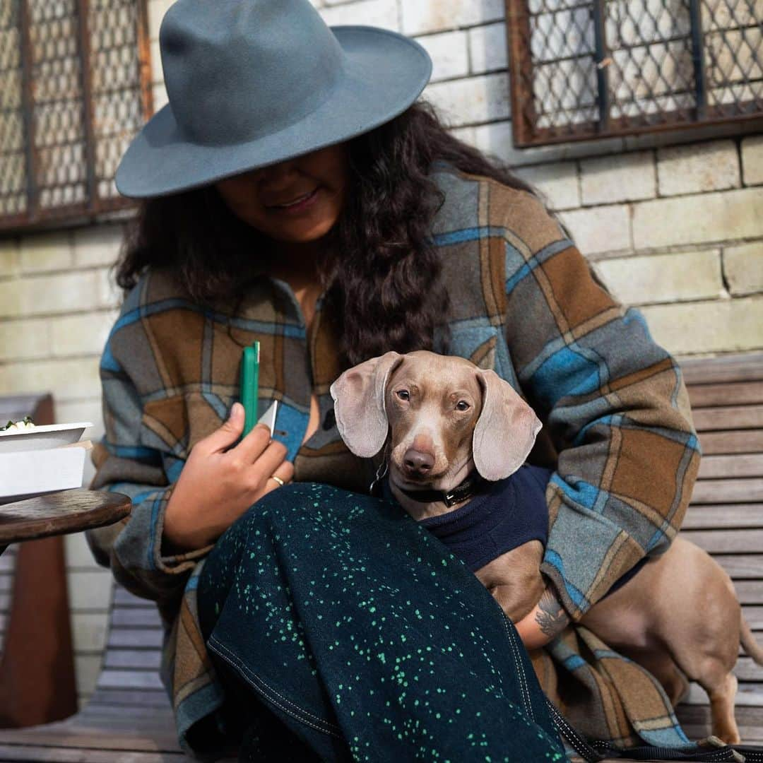 The Dogistさんのインスタグラム写真 - (The DogistInstagram)「Hugo, Dachshund (2 y/o), Lorimer & Bedford Ave., Brooklyn, NY • “He’s doing the Benjamin Button thing – he’s in his angry old man phase.”」1月18日 2時37分 - thedogist