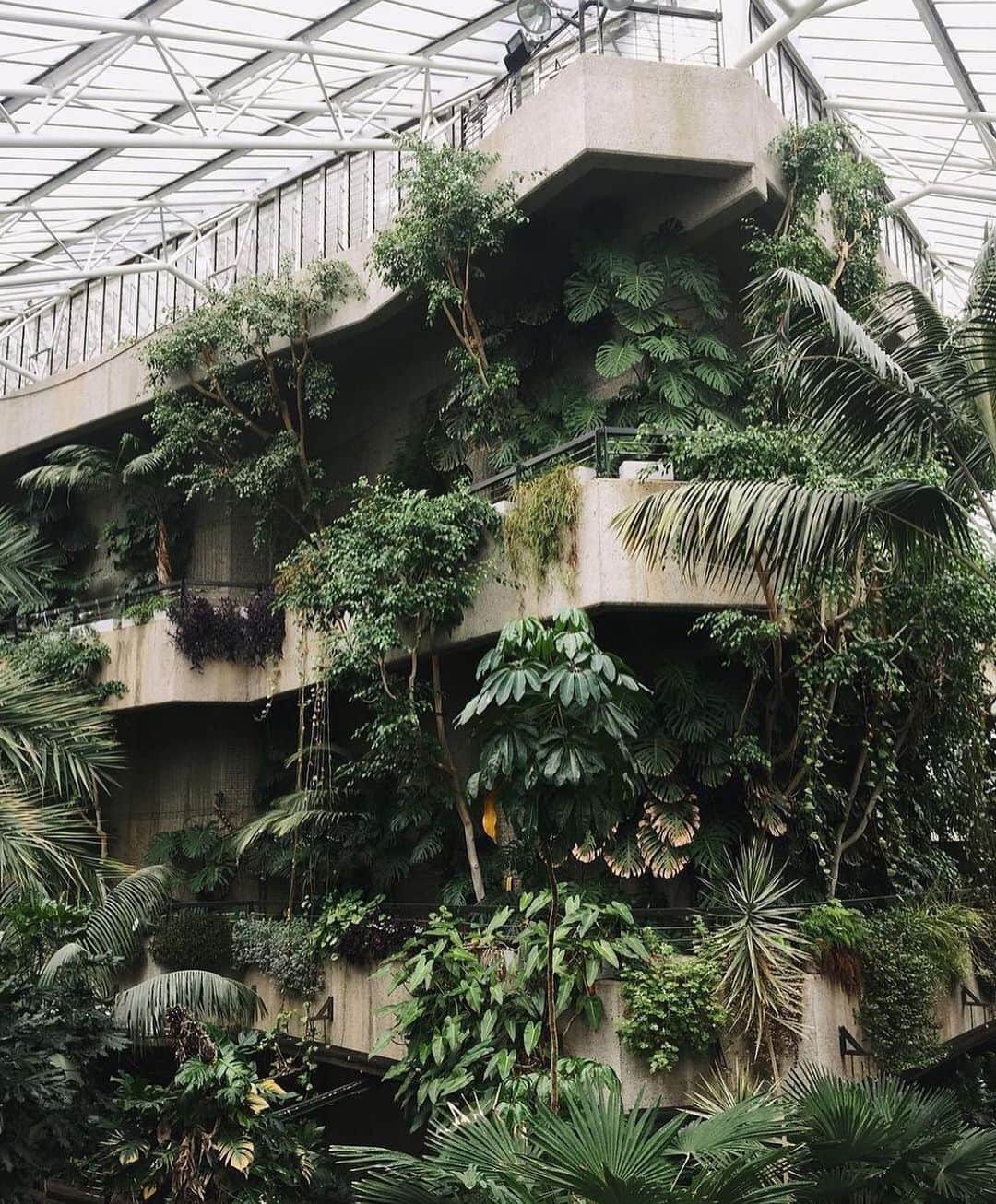AnOther Magazineさんのインスタグラム写真 - (AnOther MagazineInstagram)「#GorgeousGardens – the Barbican conservatory 🌿⁠⠀ ⁠⠀ See more transporting gardens at the link in our bio 📲」1月18日 2時56分 - anothermagazine
