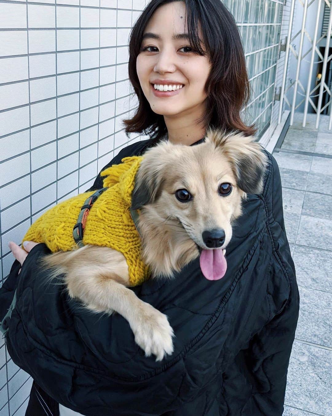 Shiho Sasakiのインスタグラム：「休日🍃 お休みの日は家でゆっくりがほとんどです🏠 🐶も散歩嫌いだから いつも室内運動会状態🐾  この写真はきっと いやや早く帰ろうよって言ってるみたいに見える👻 #休日#犬のいる暮らし」