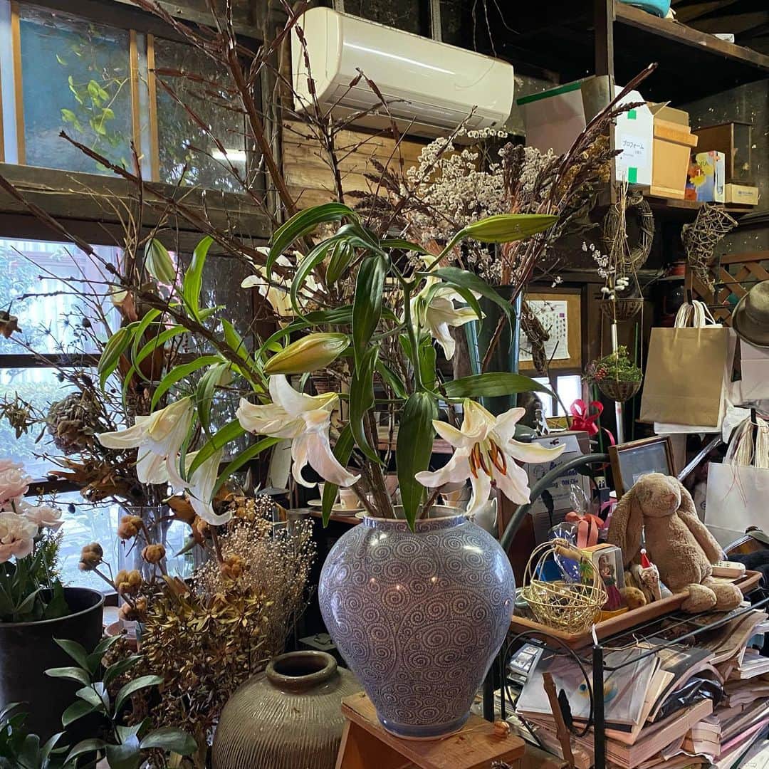 林千晶さんのインスタグラム写真 - (林千晶Instagram)「根津で、素朴だけど心温まる花屋さんを紹介してもらいました。自宅に購入したピンクのスイートピーで、根津の地域強さを反芻しています。」1月17日 18時48分 - chiaki_0808