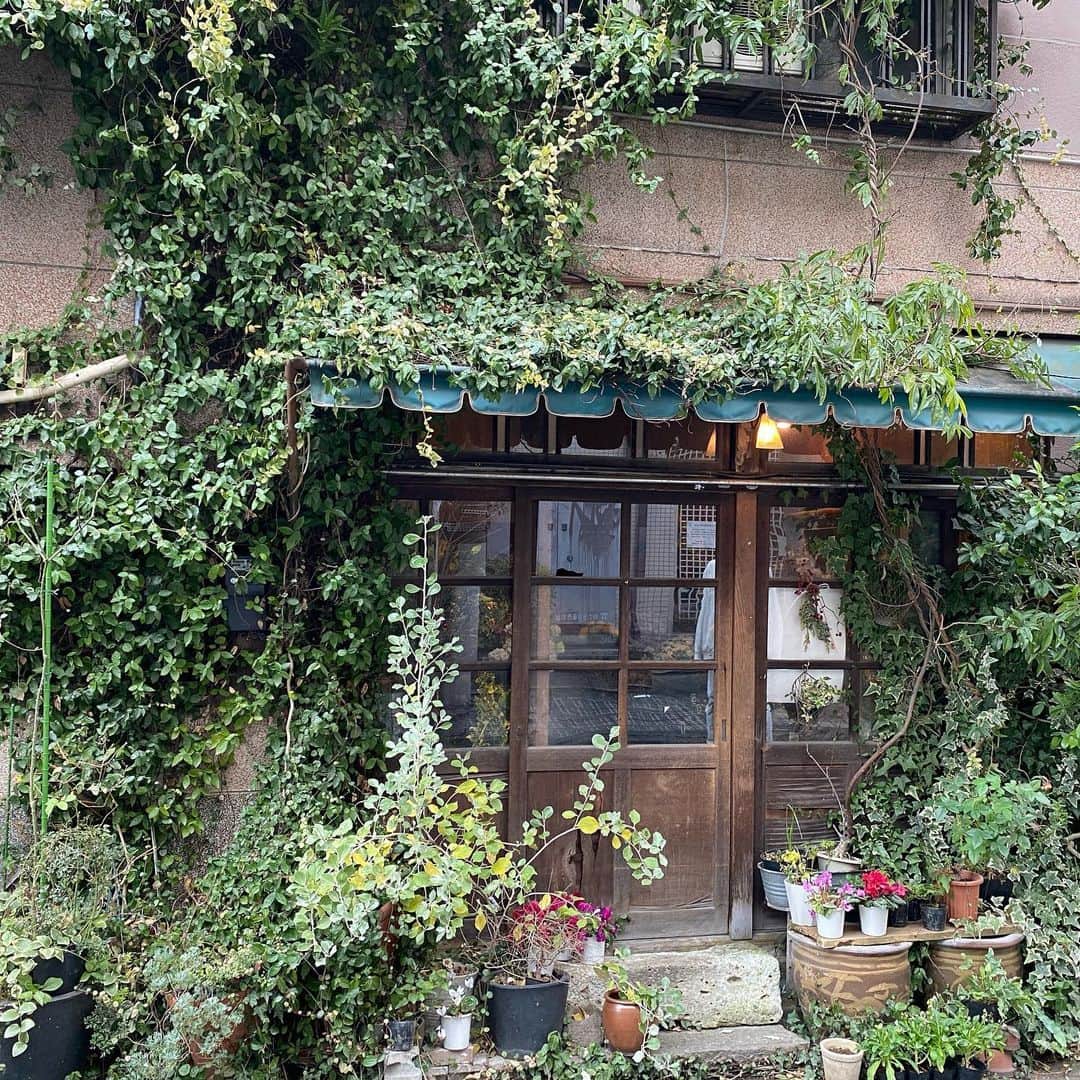 林千晶さんのインスタグラム写真 - (林千晶Instagram)「根津で、素朴だけど心温まる花屋さんを紹介してもらいました。自宅に購入したピンクのスイートピーで、根津の地域強さを反芻しています。」1月17日 18時48分 - chiaki_0808