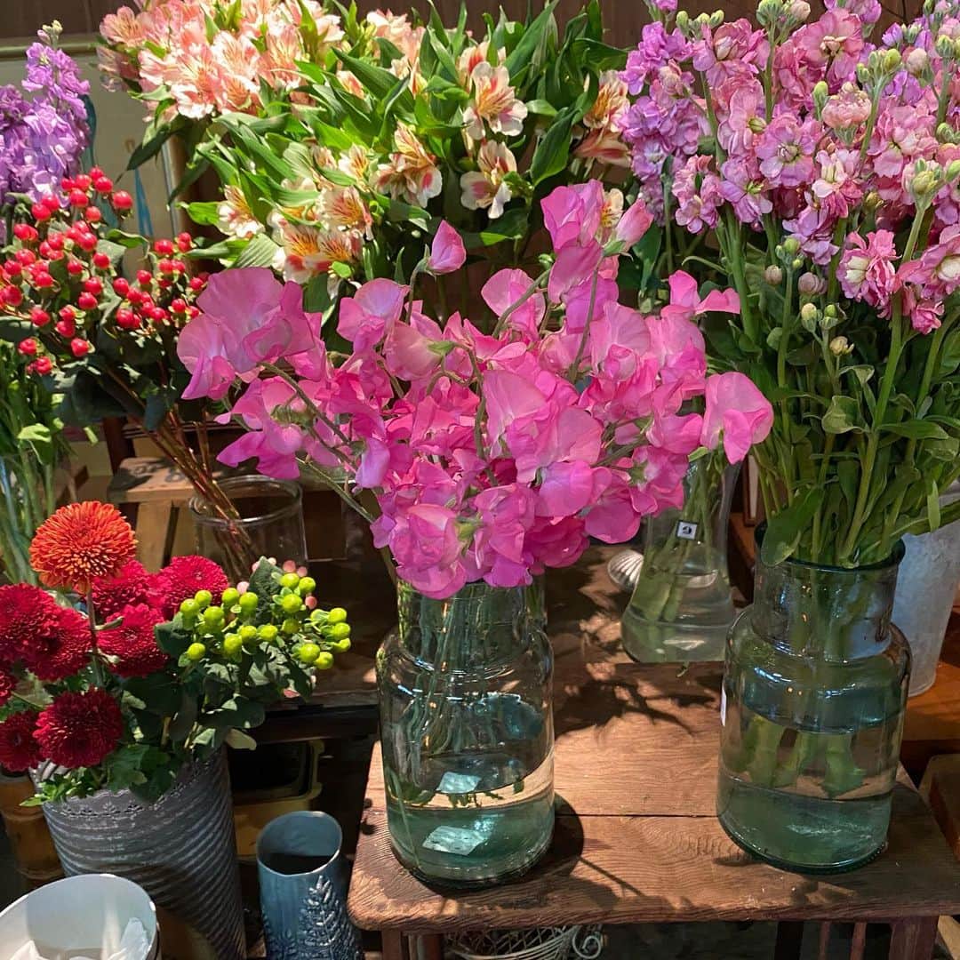 林千晶のインスタグラム：「根津で、素朴だけど心温まる花屋さんを紹介してもらいました。自宅に購入したピンクのスイートピーで、根津の地域強さを反芻しています。」