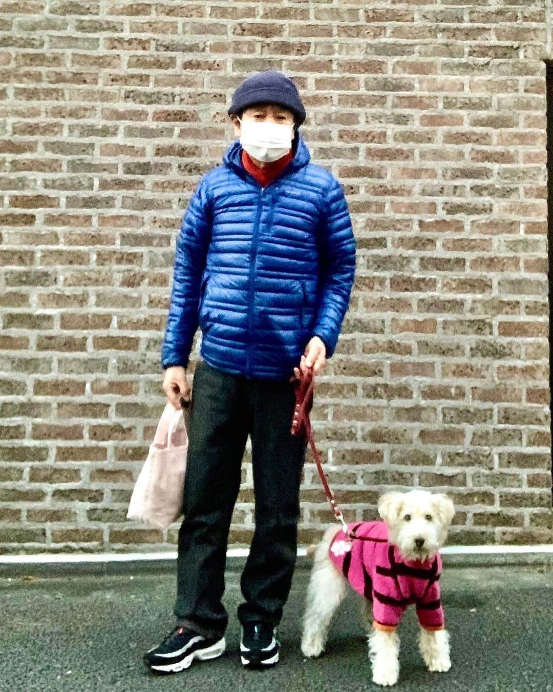 設楽洋さんのインスタグラム写真 - (設楽洋Instagram)「ケリーとお使いに…😊🐶  #kelly #ケリー #terrier #愛犬と散歩」1月17日 19時10分 - taracyan3