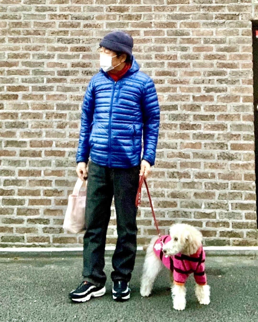 設楽洋さんのインスタグラム写真 - (設楽洋Instagram)「ケリーとお使いに…😊🐶  #kelly #ケリー #terrier #愛犬と散歩」1月17日 19時10分 - taracyan3