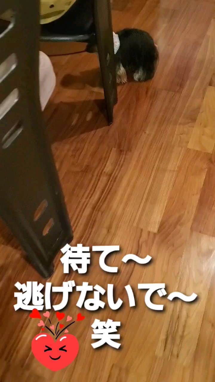 武東由美のインスタグラム