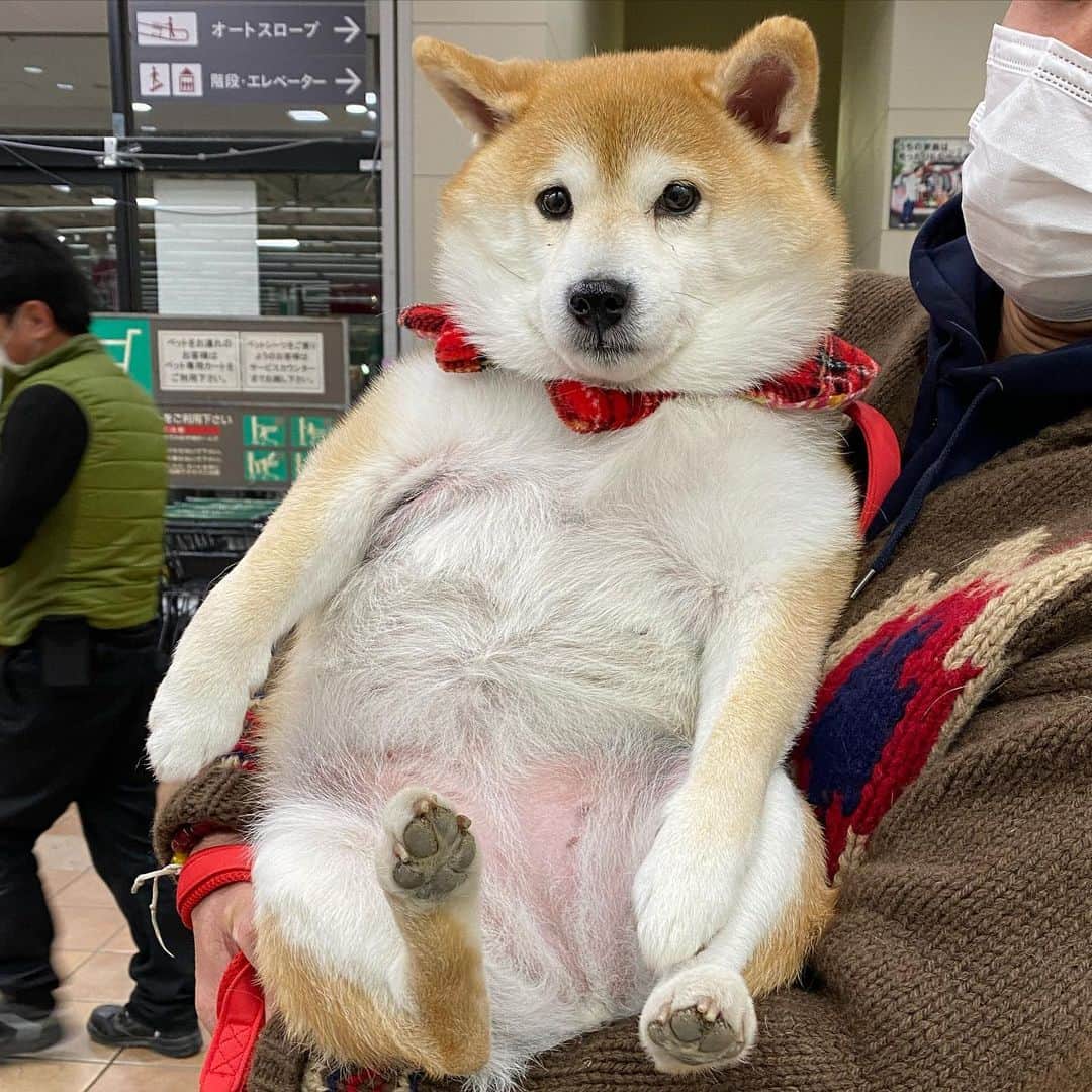 いなりのインスタグラム