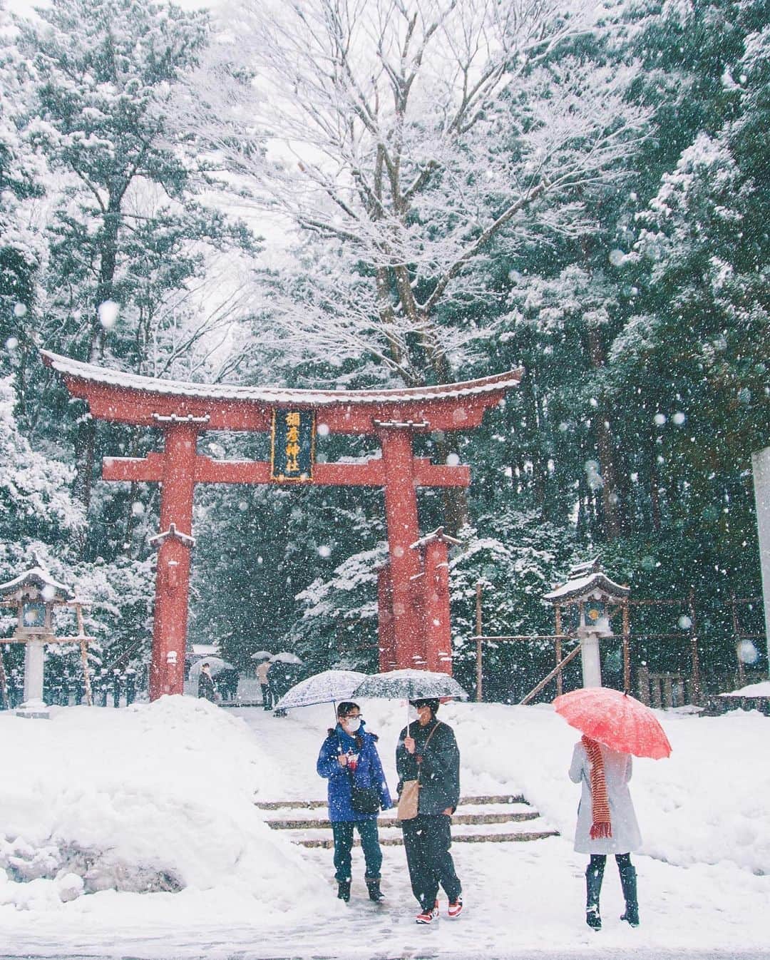 yukiさんのインスタグラム写真 - (yukiInstagram)「・ ・ ・ Wonderful winter days ・ ・ ・ ◉sty830 base shop◉ https://sty830.base.shop/ ・ ・ ・ #新潟　#雪　#雪景色　#弥彦神社」1月17日 19時34分 - sty830