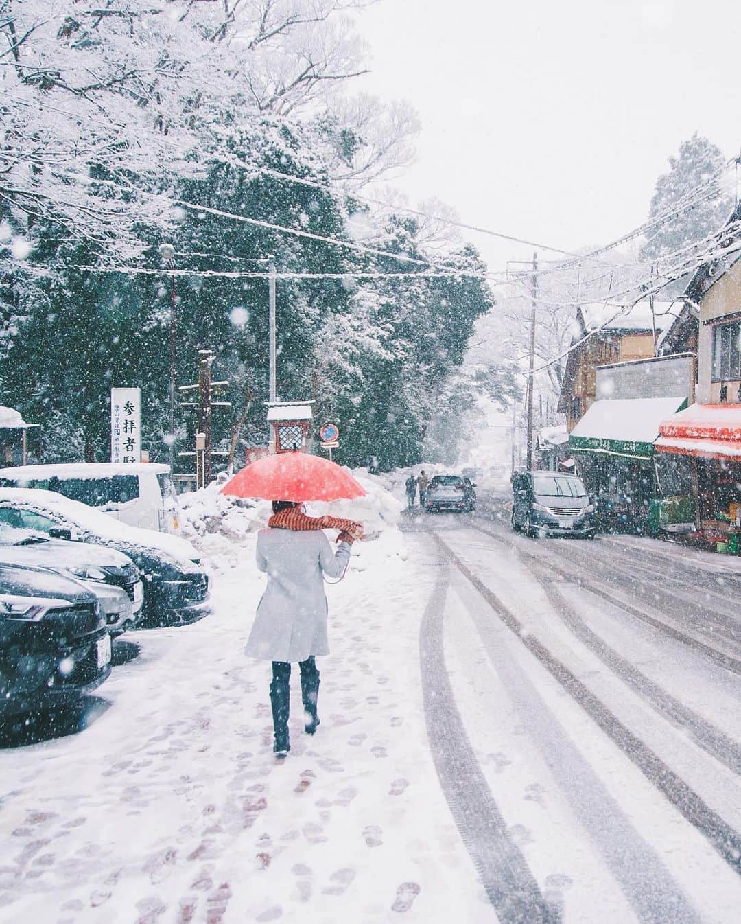 yukiさんのインスタグラム写真 - (yukiInstagram)「・ ・ ・ Wonderful winter days ・ ・ ・ ◉sty830 base shop◉ https://sty830.base.shop/ ・ ・ ・ #新潟　#雪　#雪景色　#弥彦神社」1月17日 19時34分 - sty830