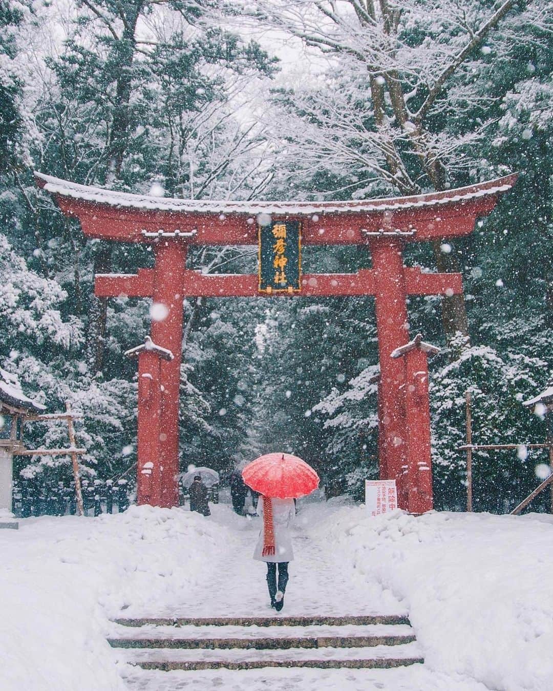 yukiのインスタグラム：「・ ・ ・ Wonderful winter days ・ ・ ・ ◉sty830 base shop◉ https://sty830.base.shop/ ・ ・ ・ #新潟　#雪　#雪景色　#弥彦神社」