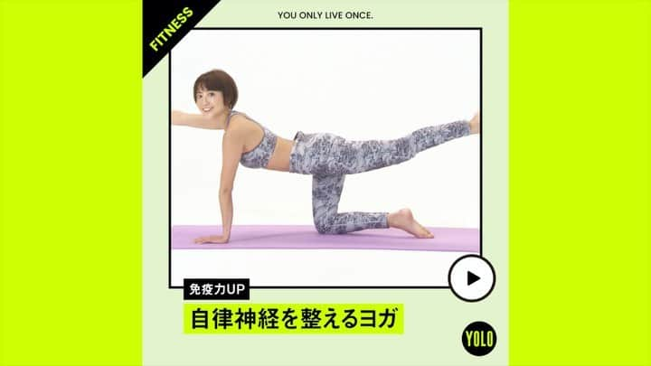 YOLOのインスタグラム：「. 寒い季節を元気に過ごす！免疫力UPヨガ🧘‍♀️ by @watanabe_yuko  　 第1回は、自律神経を整える、深い呼吸のヨガをお届けします🍀 数あるヨガポーズの中でもベーシックな動きが多いので、初心者の方にもおすすめです🙆‍♀️  YouTubeでは詳しい説明つきでフルバージョンで公開中👇 アカウントTOPのURLからご覧ください！ →@yolo.style_japan  #yolo #yolostyle #yoloflys #トレーニング #トレーニング女子 #フィットネス #フィットネス女子 #筋トレ女子 #筋トレ初心者 #筋トレ部 #ダイエット仲間 #ダイエット部 #ヨガ #ヨガ部 #家トレ #トレーニング動画 #自宅トレーニング #宅トレ #時短トレ #自律神経を整える #ヨガ動画」