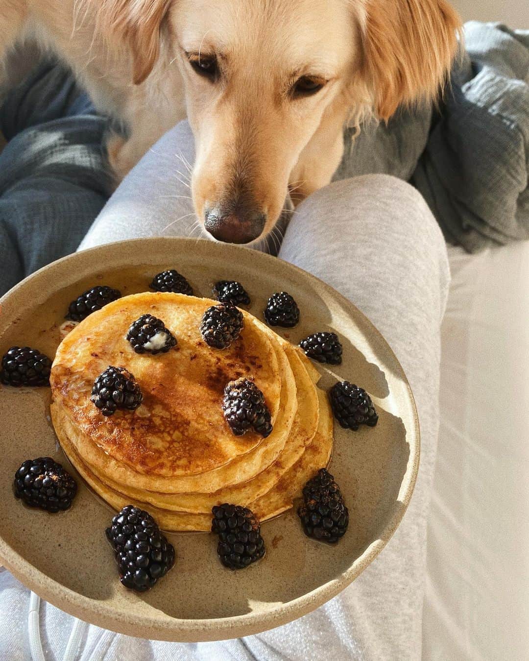 Estée Lalondeのインスタグラム：「I can haz? 🥰」